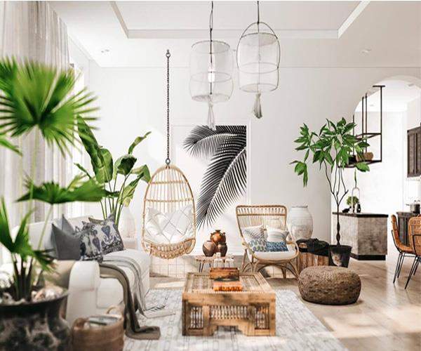 Xu hướng trang trí nhà với cây nhiệt đới