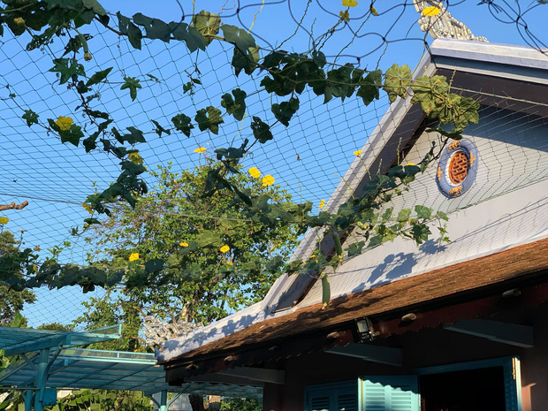 sửa chữa căn nhà cổ tại Huế